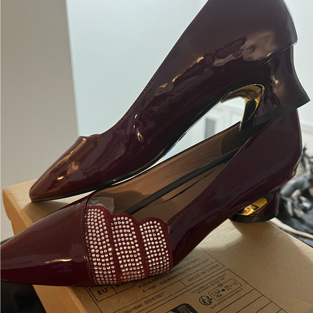 Elegant Wine Women's Shoes